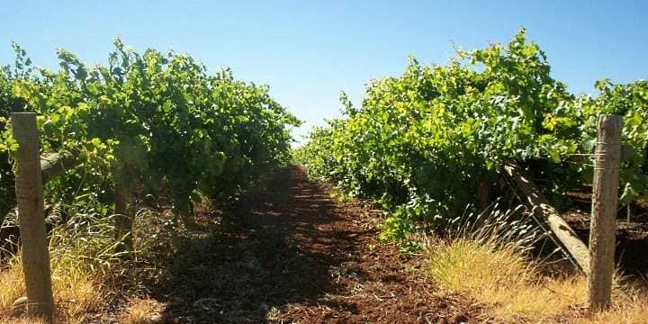 napa_stor