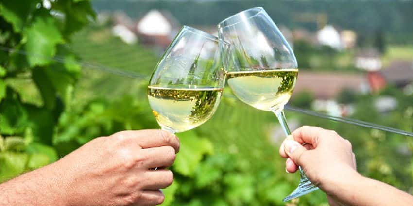 Populära Riesling viner - 2 glas Riesling