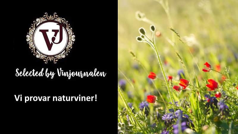 naturvin - omlag