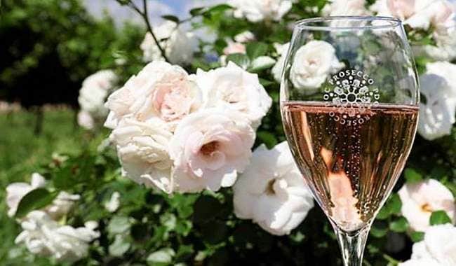 Rosa Prosecco ett glas rosa prosecco