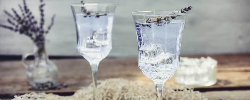 omslag botaniska smaker