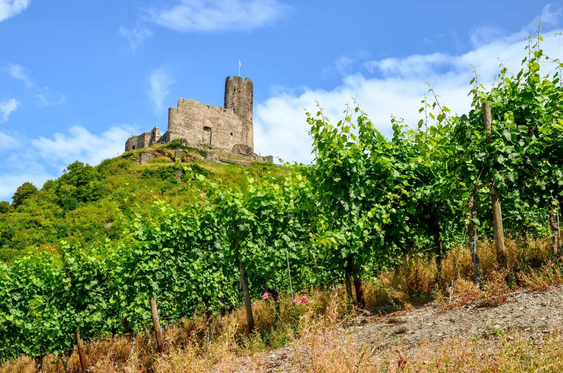 mosel_landshut_castle