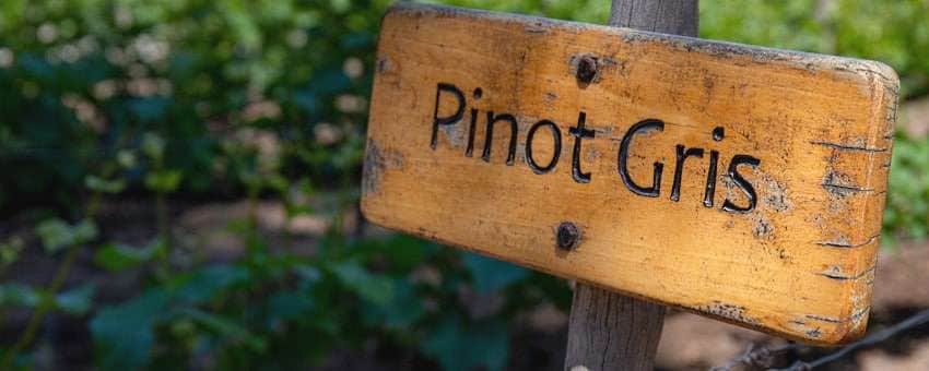 Pinot Gris - en träskylt med namnet