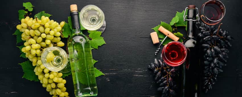 köttgryta och vintips