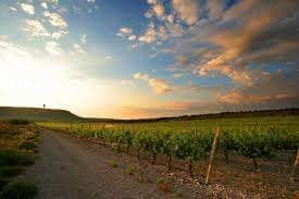 solnedgang-i-aude