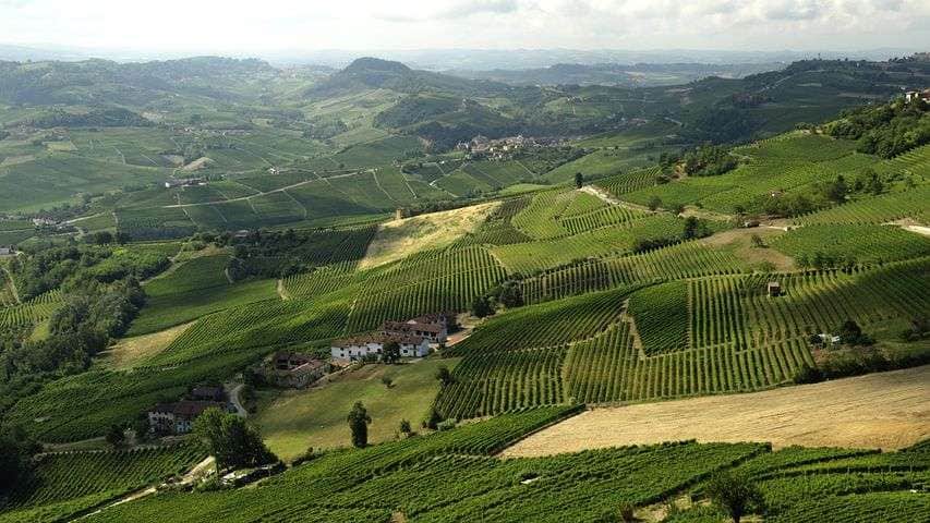 piedmont