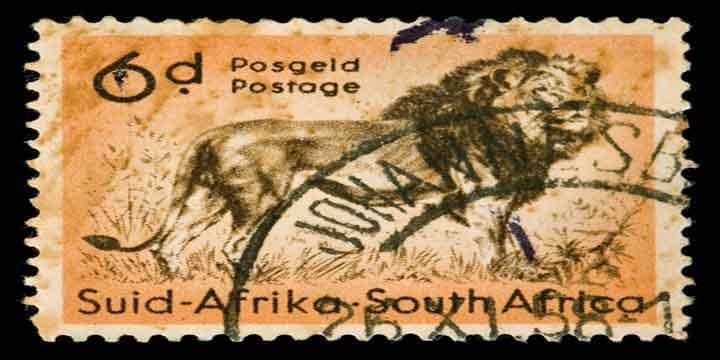 african-lion-stamp