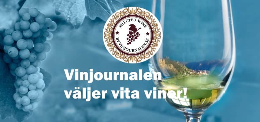 sommarviner-vita-viner-flaska-druvor