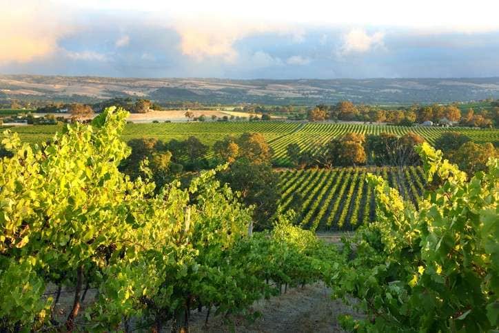 mclaren-vale-south-australia
