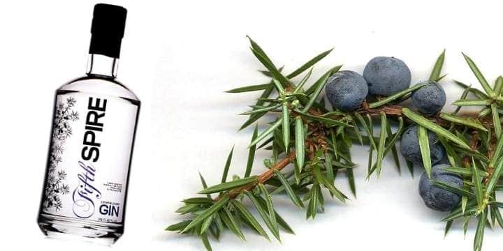 ginfront