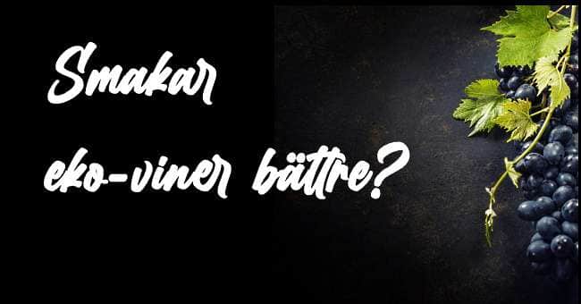 eko-viner - omslagsbild med blå vinklase