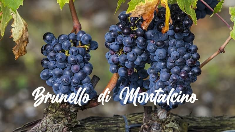 fattoi 4 - druvan brunello
