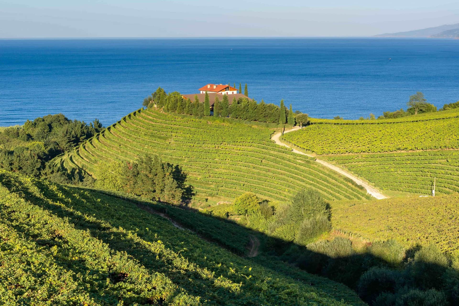 Basque country_Txakoli