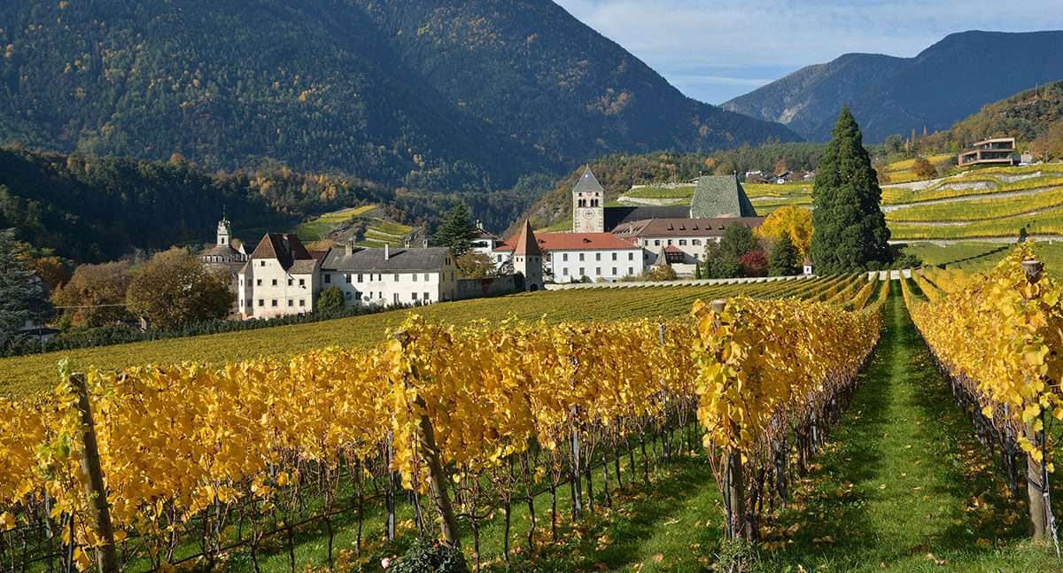 alto adige vinregion i norra italien