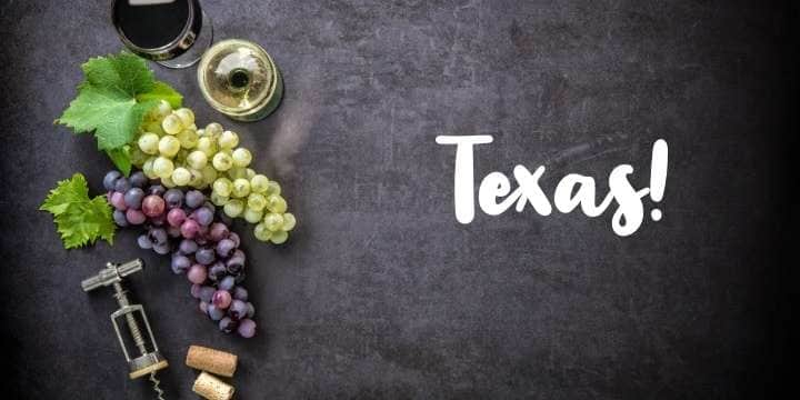 Texas vinglas och flaska och Texas flagga