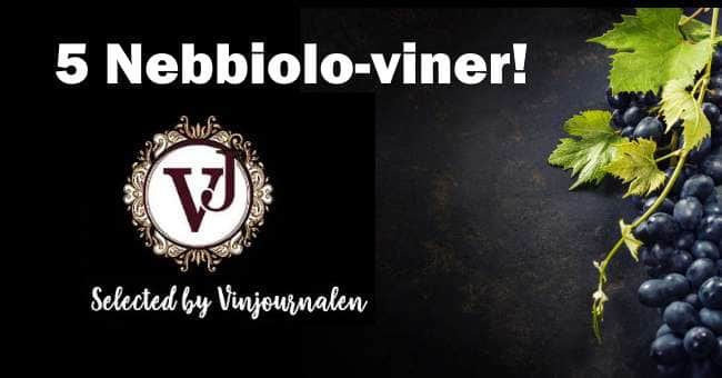 Nebbiolo omslagsbild druvor