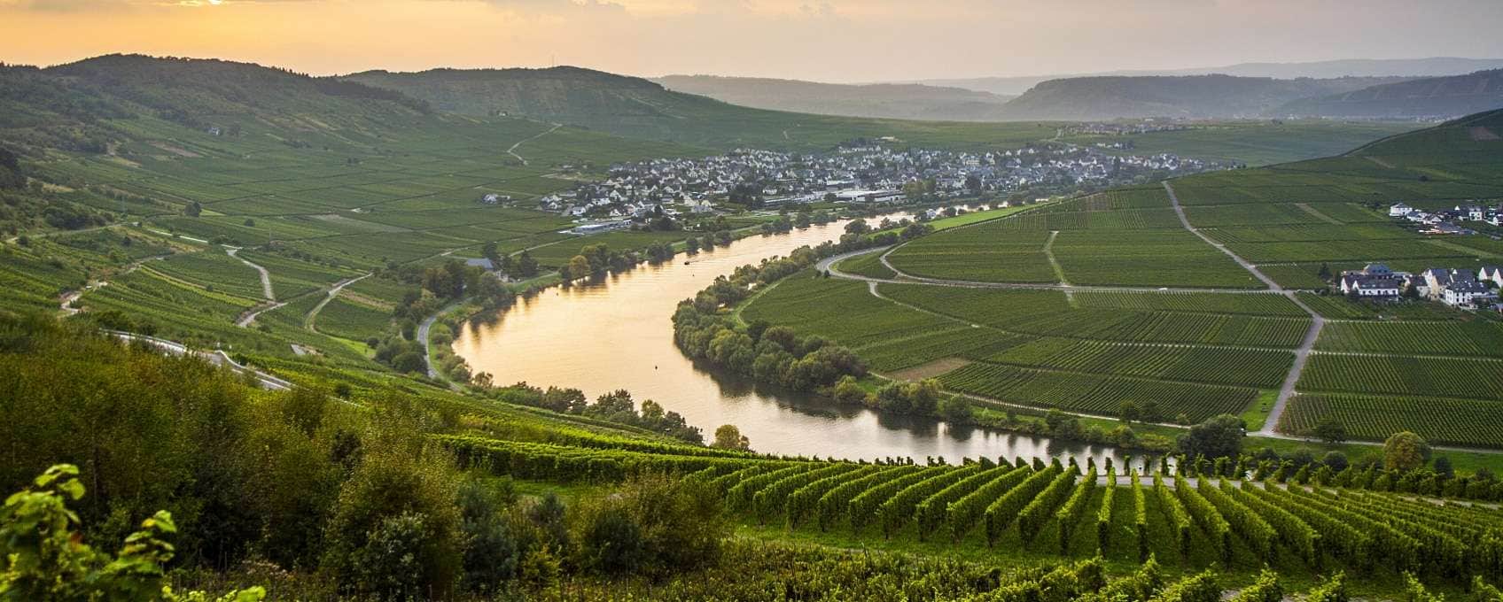 Mosel - vy över Moseldalen och vingårdarna