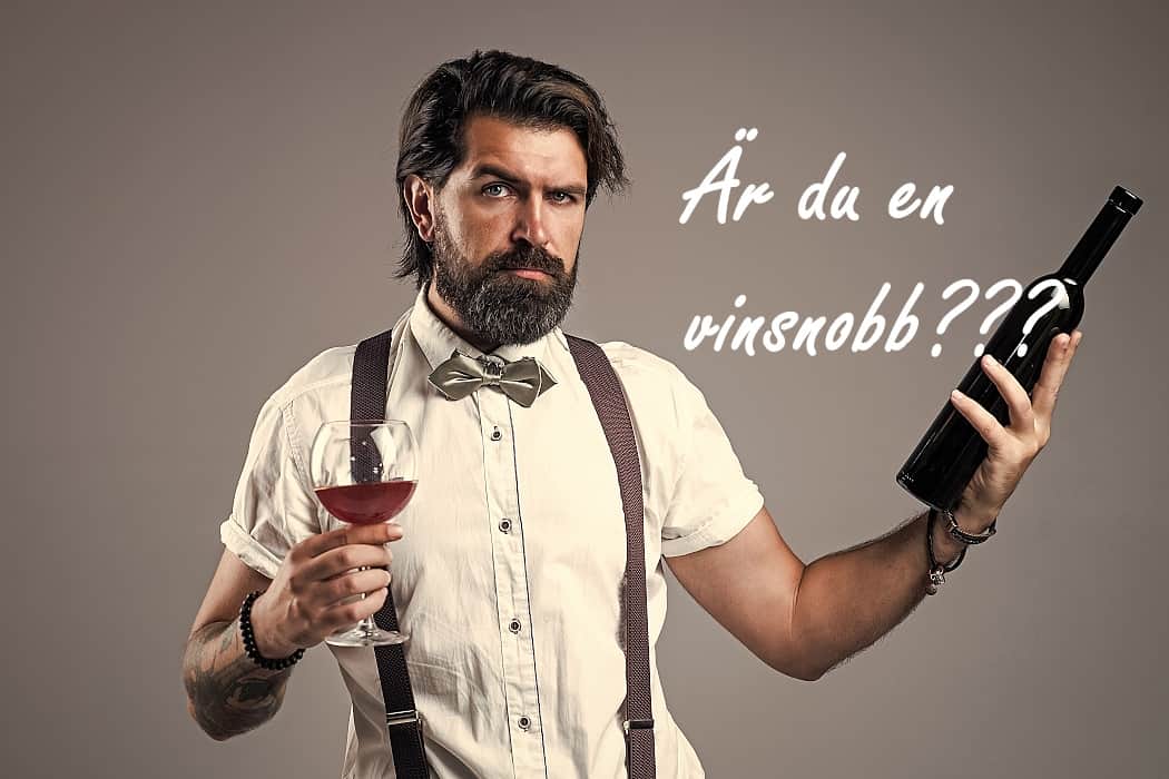 vinsnobb-en-sur-kille-som-provar-vin