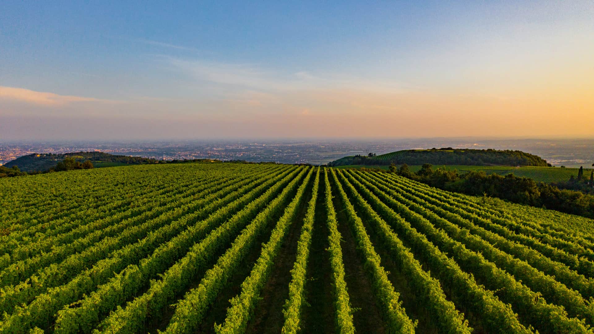 Hills pärla: Den bestående själen i Valpolicella