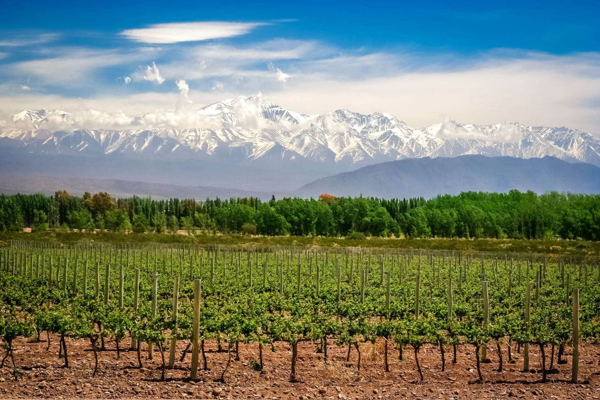 mendoza-min