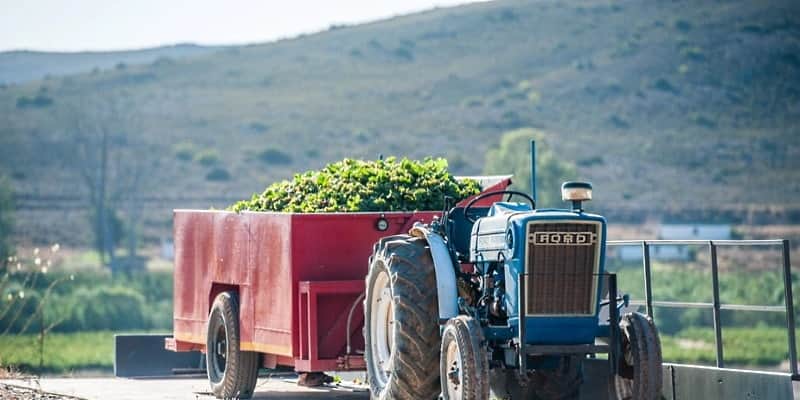 hållbart vin - vintruck