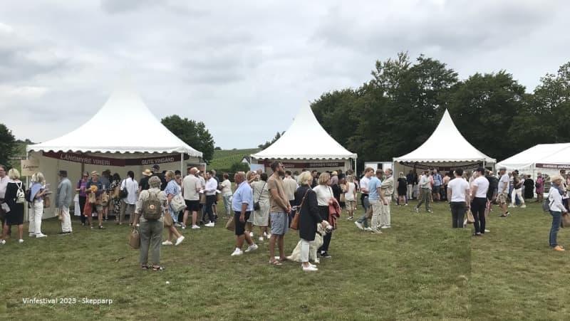 Vinfestival 23 Tält
