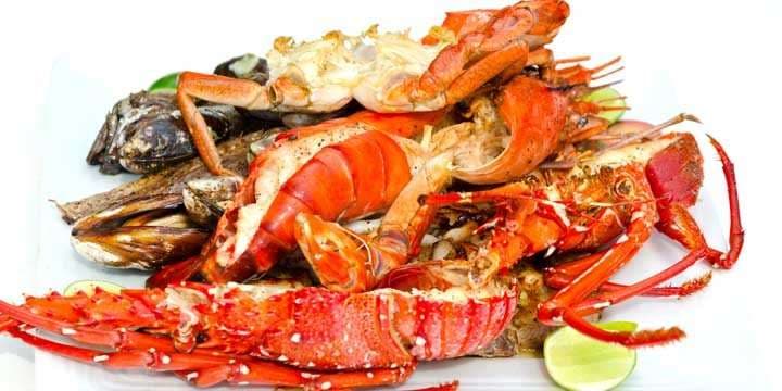 lots-of-sea-food