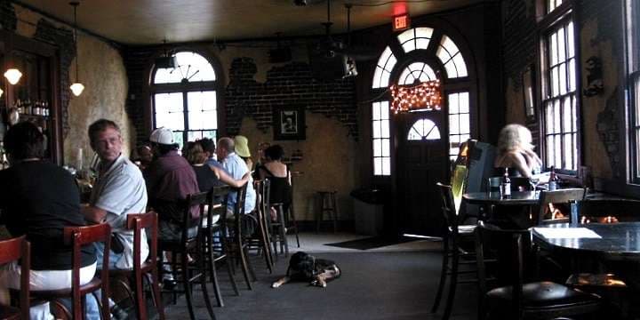 dog_front