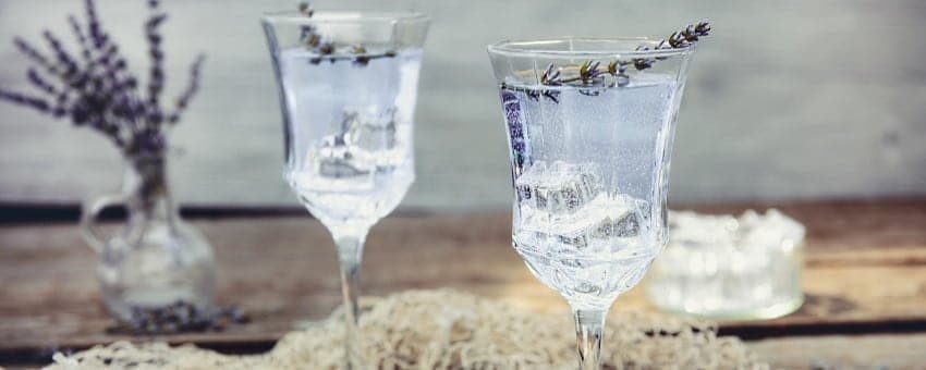 omslag botaniska smaker