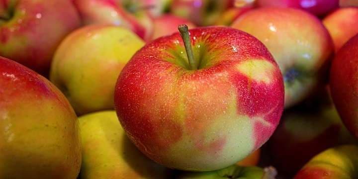 ciderfront