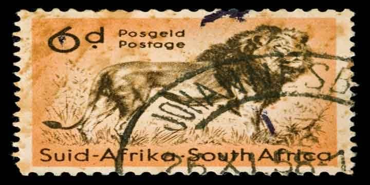 african-lion-stamp