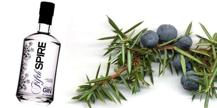 ginfront