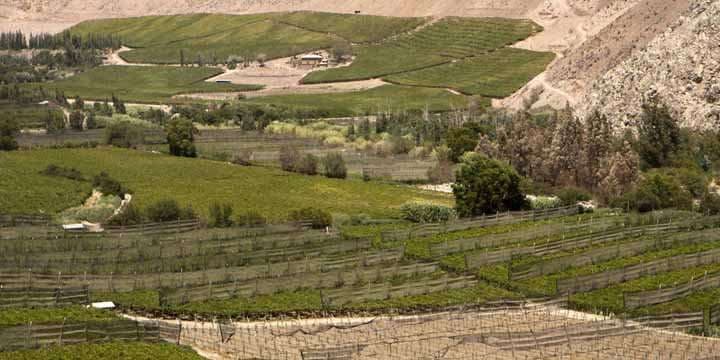 elqui-valley