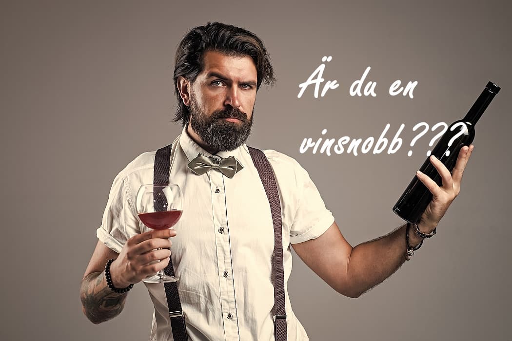 vinsnobb-en-sur-kille-som-provar-vin