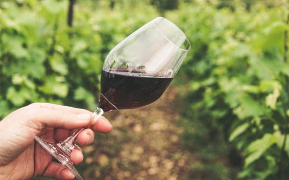 chianti