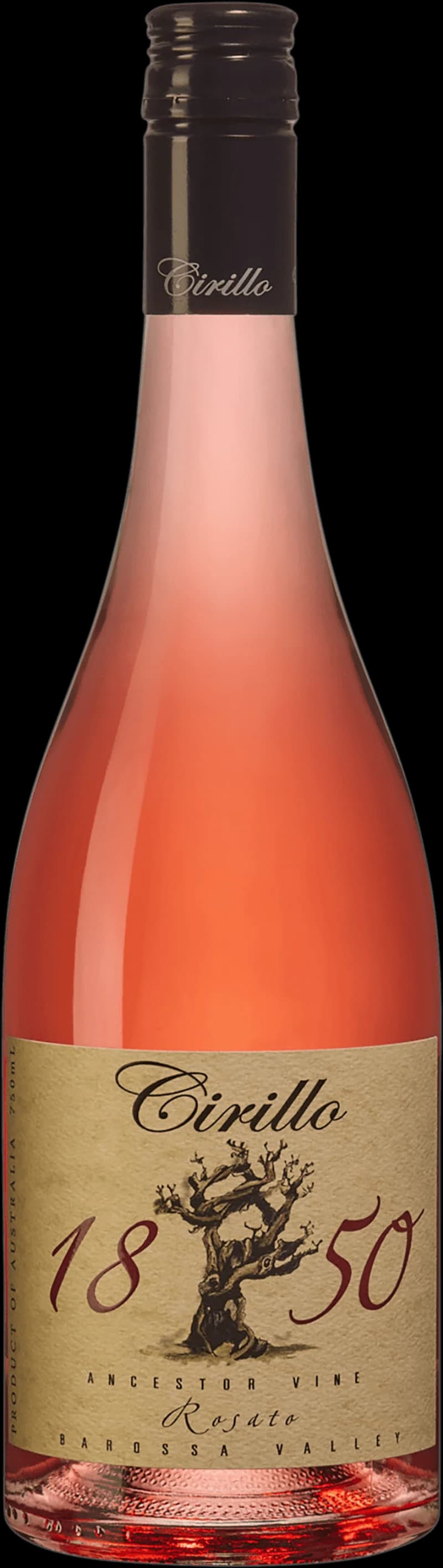 Flaska med 1850 Ancestor Vine Rosato rosévin mot en neutral bakgrund.