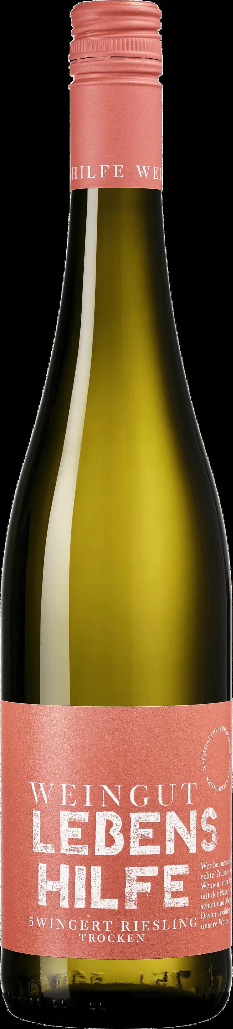 Fem glas med vitt vin från Wingert vingård.