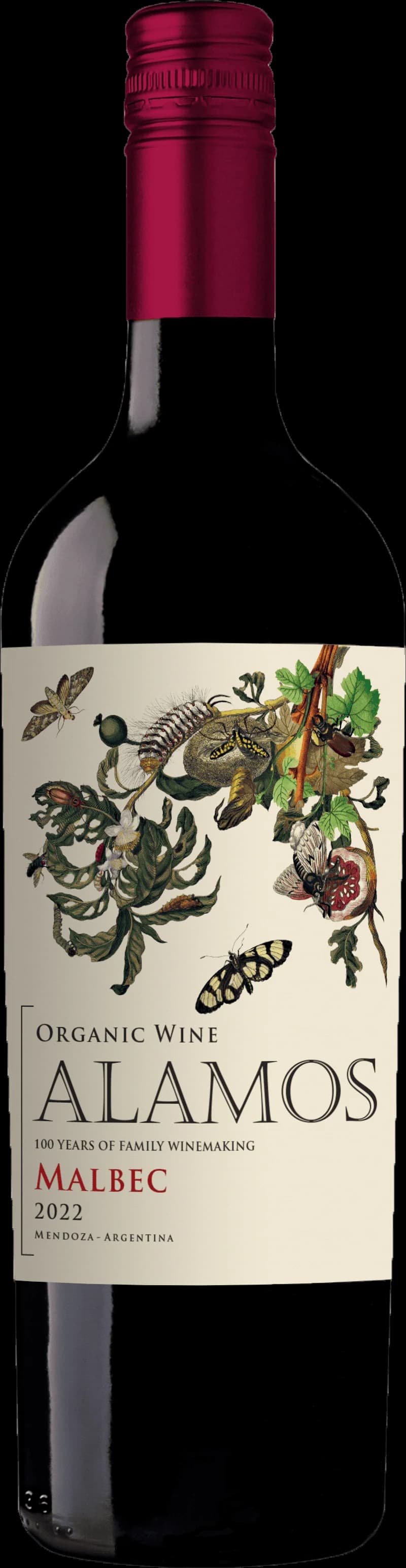 Flaska av Alamos Organic Malbec rött vin på vit bakgrund.
