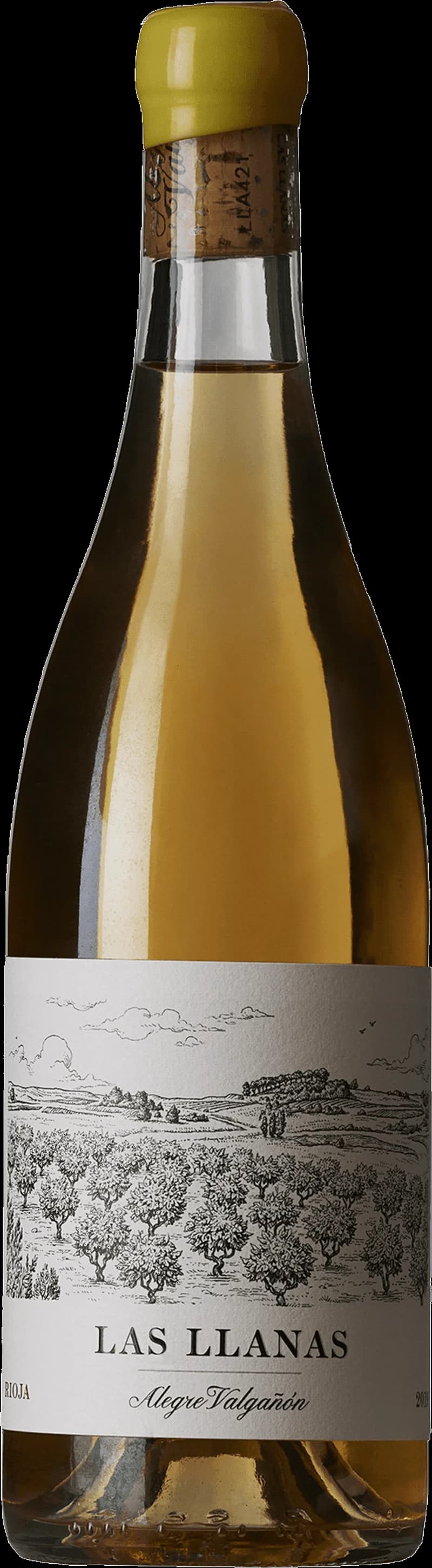 Alegre Valga som håller ett glas vitt vin