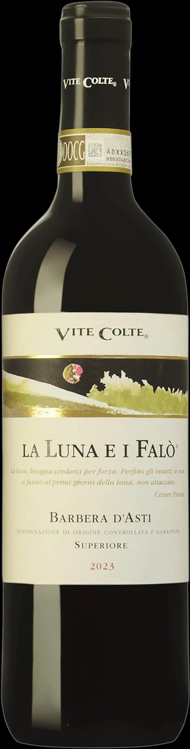 Flaska med rött Barbera d'Asti-vin framför vingård