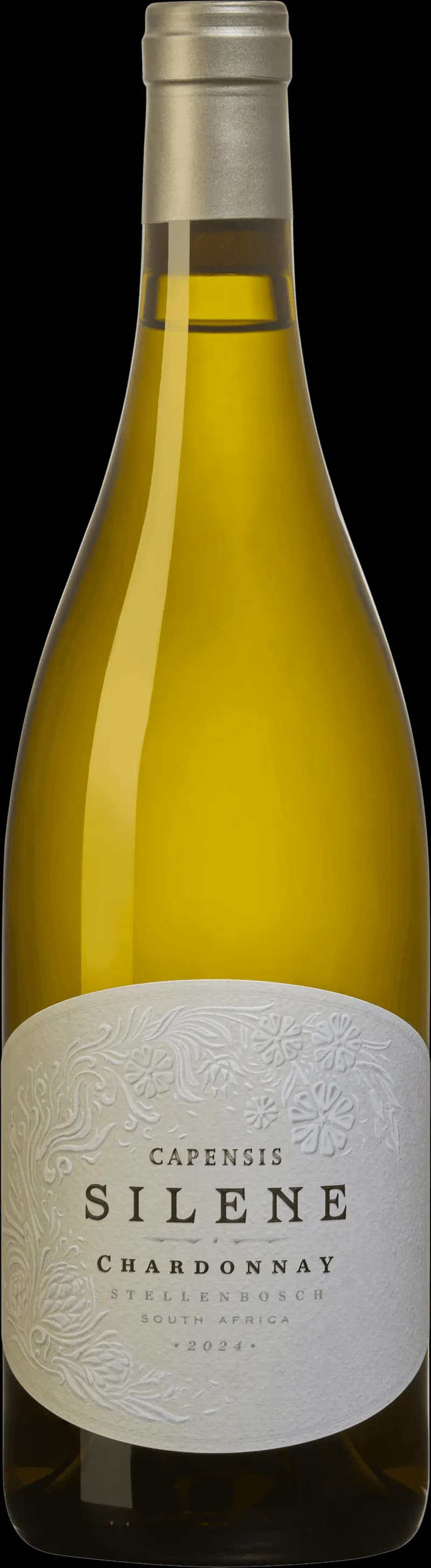 Capensis Silene vitt vin i ett glas mot en ljus bakgrund.