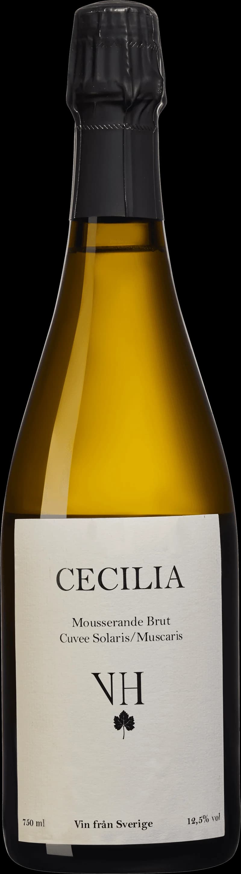 Cecilia håller ett glas mousserande vin mot en ljus bakgrund.