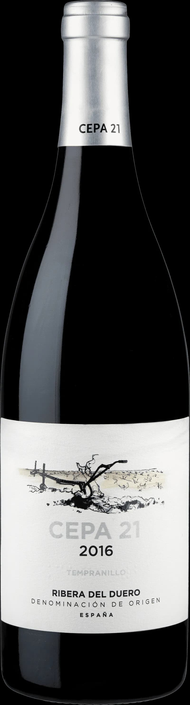 Cepa 21 rött vin i ett vinglas mot en mörk bakgrund.