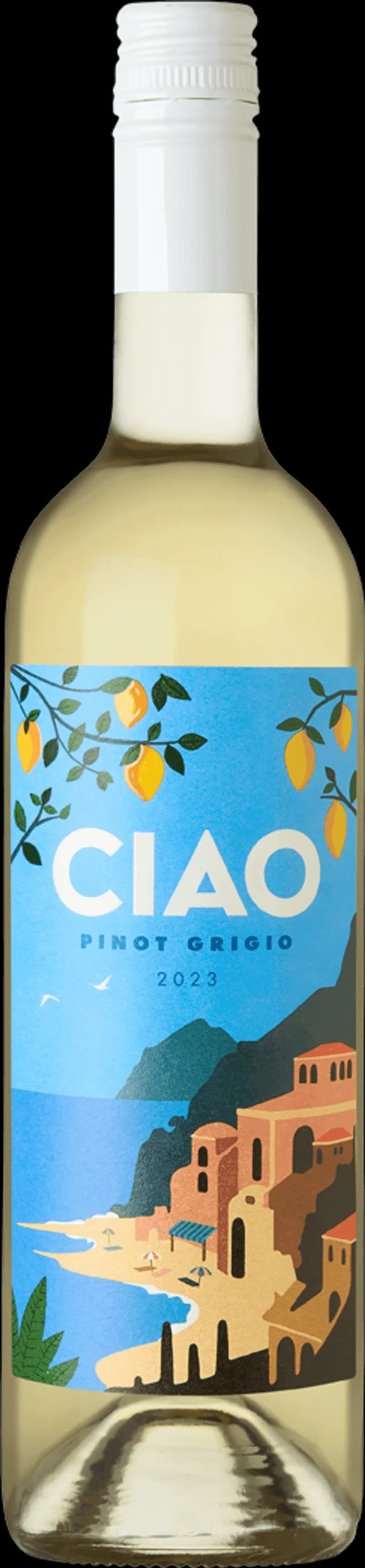 Flaska av italienskt vitt vin Ciao Vitt Vin på en ljus bakgrund
