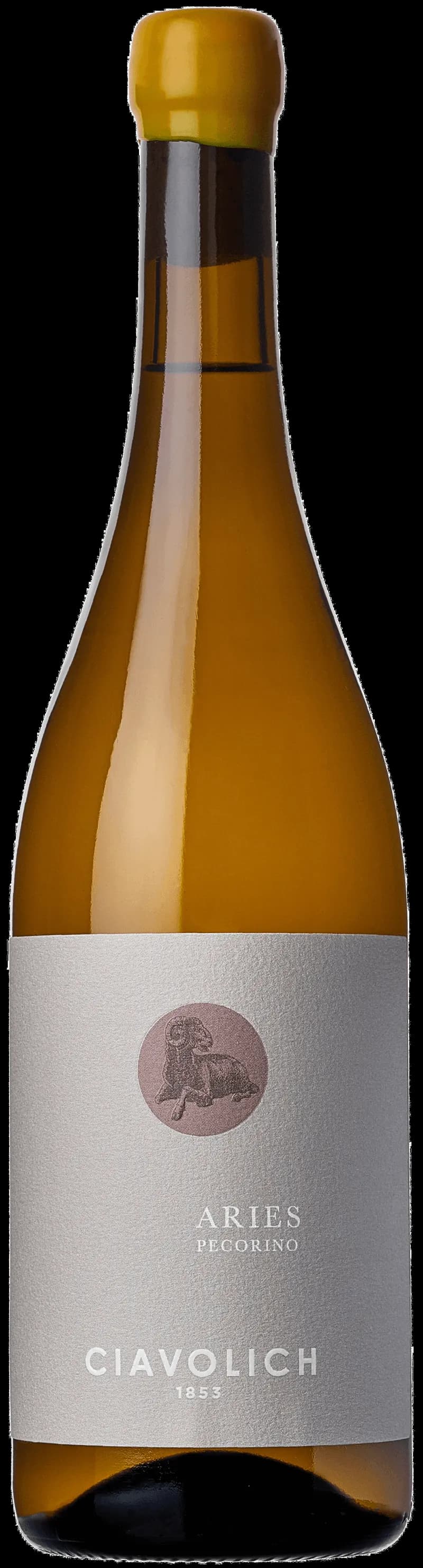 Ciavolich vitt vin i ett glas mot en ljus bakgrund