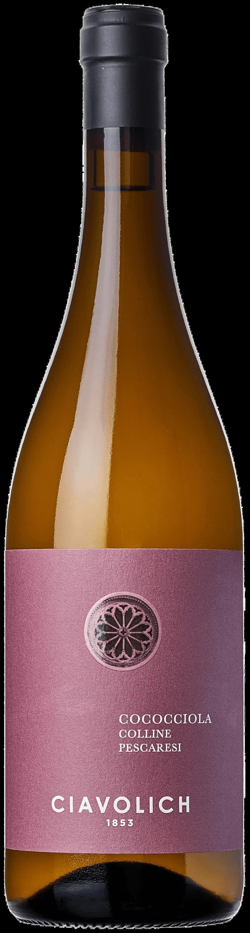 Flaska med vitt vin från Ciavolich