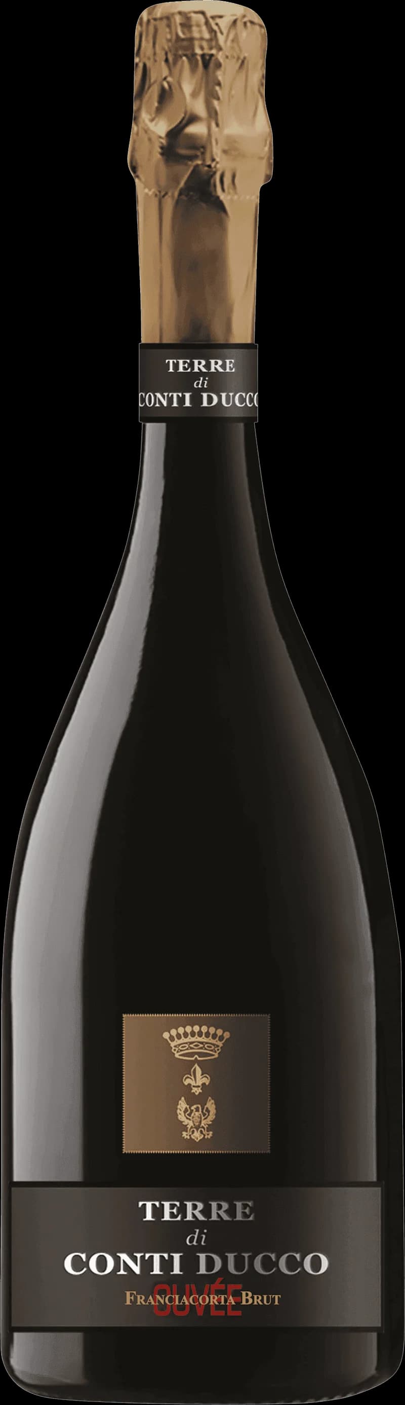 Flaska Conti Ducco mousserande vin mot ljus bakgrund.