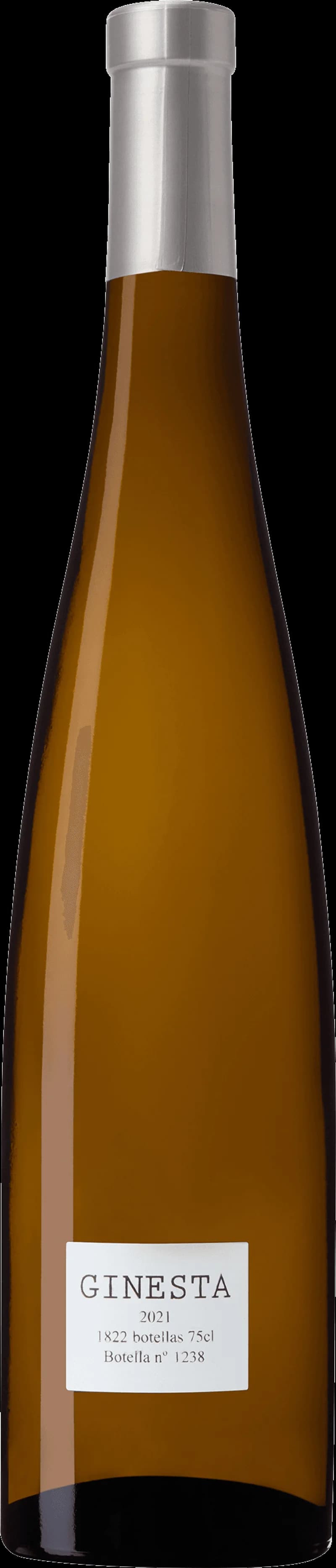Flaska av vitt vin från Ginesta på en ljus bakgrund.