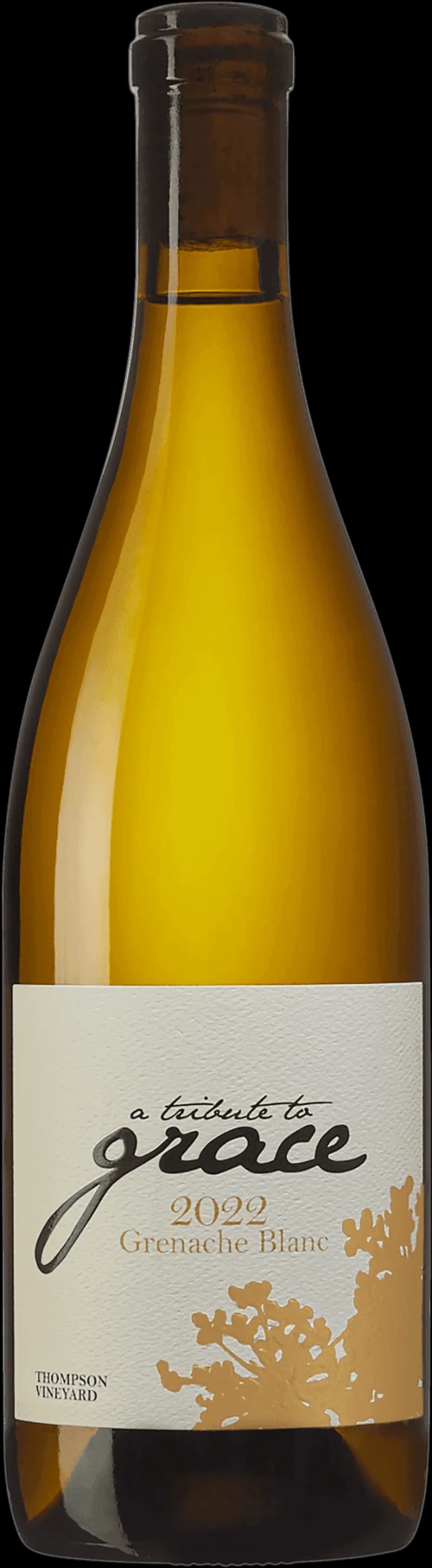 Flaska med Grenache Blanc vitt vin mot ljus bakgrund.