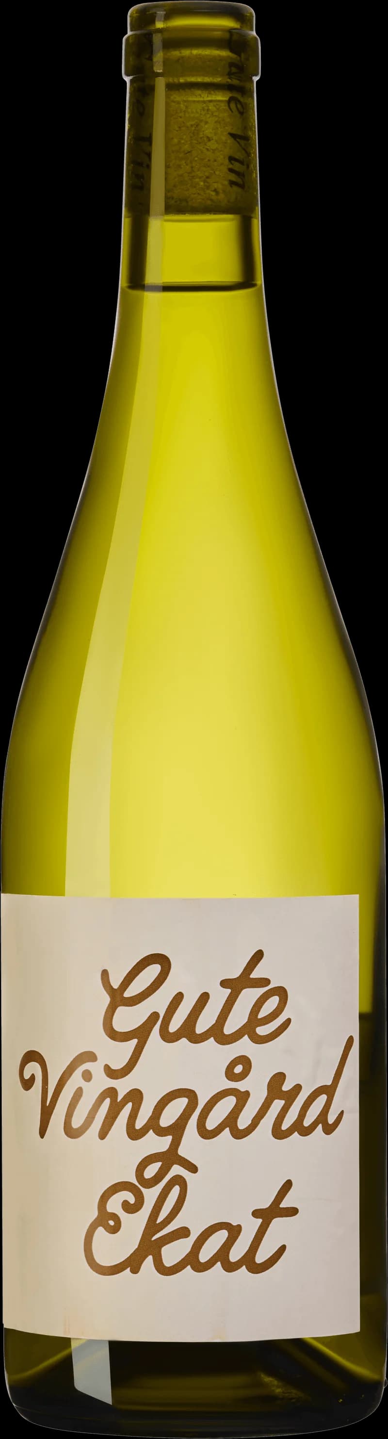 Flaska vitt vin från Gute Vingård mot ljus bakgrund